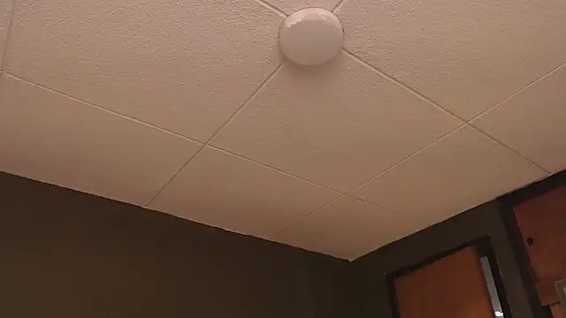 PaulEvens online show from 10.17.25