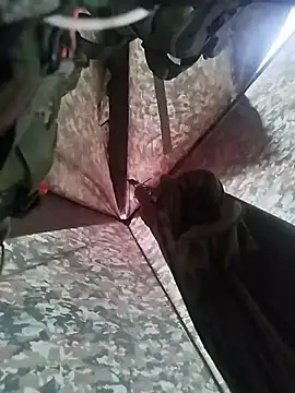 Snapshot of Alabestia12 chatting on 11.05.25 Alabestia12 online show from 11.05.25