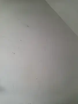 Snapshot of iamlalamilano chatting on 03.29.26 iamlalamilano online show from 03.29.26