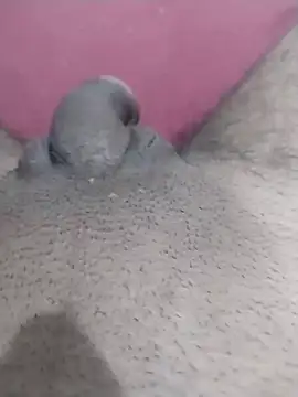 motoboytkbh online show from 04.09.26