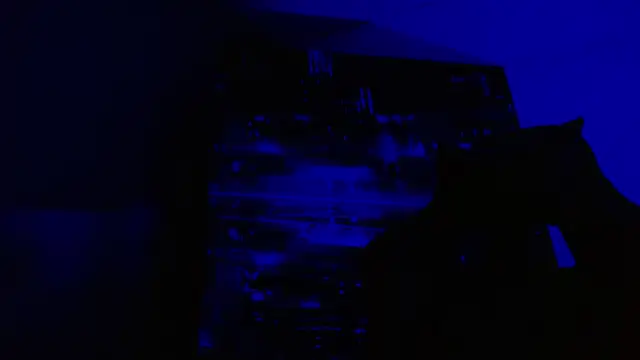 alexgiraldo   online show from 05.27.26
