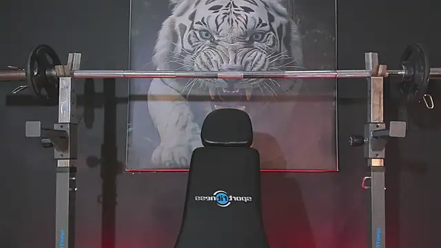 Snapshot of DimitriDeluxe chatting on 12.03.25 DimitriDeluxe online show from 12.03.25