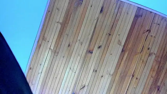 Angel kanon online show from 02.28.26