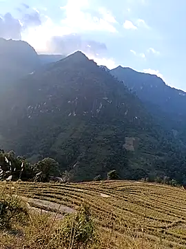 MuiNay online show from 11.24.25