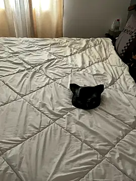 LesAmantsAE2 online show from 10.11.25