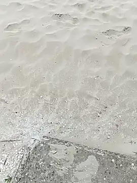 pegaso369 online show from 09.22.25