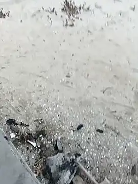 pegaso369 online show from 10.29.25