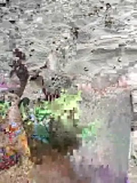 Snapshot of pegaso369 chatting on 06.16.26 pegaso369 online show from 06.16.26