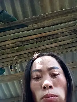 CoMay003 online show from 11.15.25