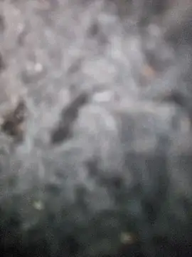 Romance32 online show from 11.03.25