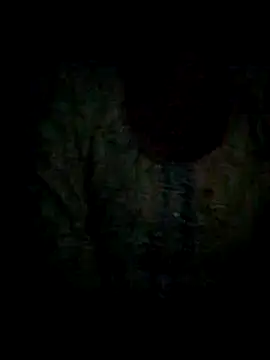 Snapshot of Chandrakanta-Devi chatting on 11.11.25 Chandrakanta-Devi online show from 11.11.25