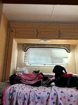 high3ndlowlife online show from 11.20.25