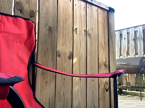 Insurance-03 online show from 10.26.25