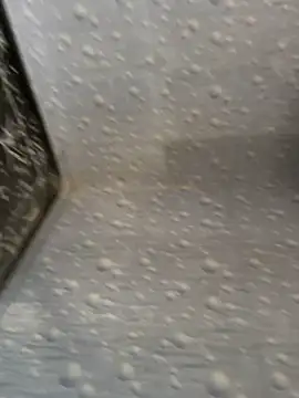 NoddingScorpion online show from 11.25.25