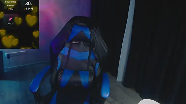 Snapshot of Provokeddream chatting on 11.11.25 Provokeddream online show from 11.11.25