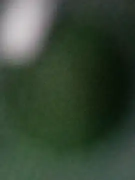 Punam ji online show from 10.28.25