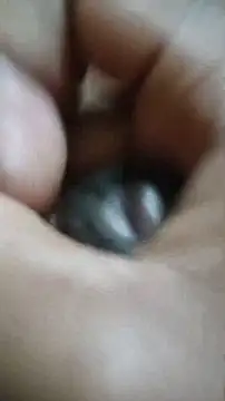 Vizgeboys online show from 12.02.25