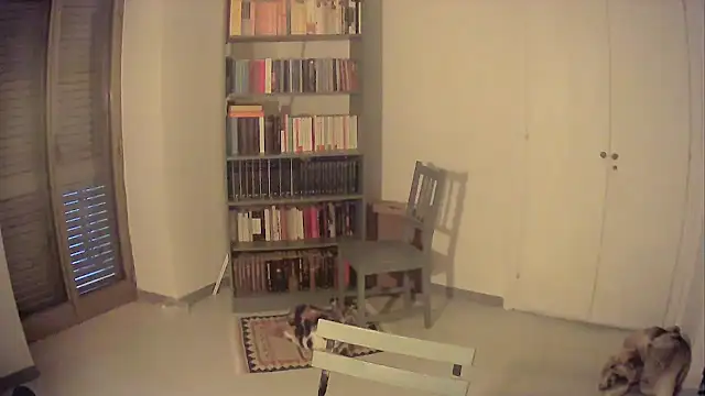 Mrkurt86 online show from 10.26.25