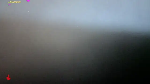 Alexander ferre online show from 02.25.26