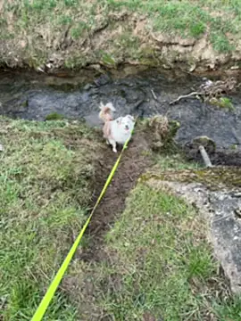 OliviaaFischer online show from 03.12.26