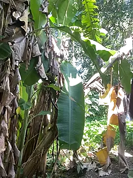 anastasia cums online show from 10.17.25