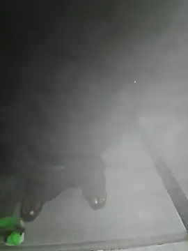 LundBoyram online show from 10.28.25