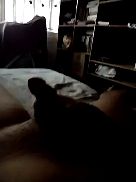 CadencedMimesis online show from 09.27.25