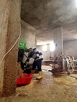 ezgi2545 online show from 03.06.26