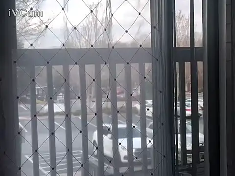 honoka008 online show from 03.07.26