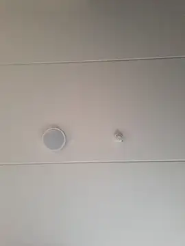 geilerd122 online show from 10.19.25