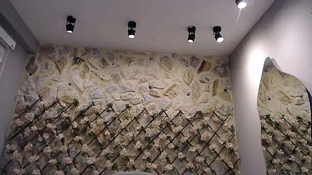 VenusBlazer online show from 02.01.26