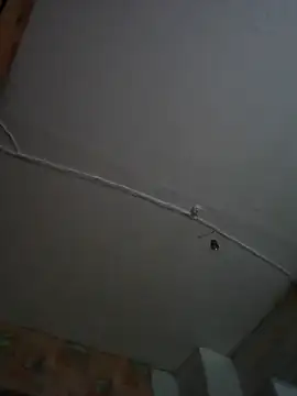 Romashka33011 online show from 11.06.25