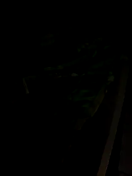 sr dias online show from 11.13.25