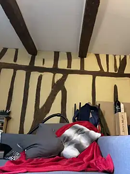 Toto-pika online show from 03.26.26