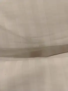 Snapshot of Yoshi_rexy chatting on 10.15.25 Yoshi rexy online show from 10.15.25