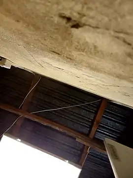 KruellaR1de3 online show from 01.08.26