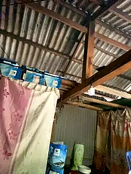 Snapshot of PhanHaa chatting on 10.20.25 PhanHaa online show from 10.20.25