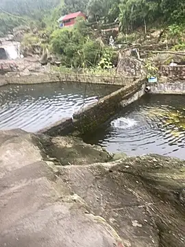 Snapshot of PhanHaa chatting on 11.10.25 PhanHaa online show from 11.10.25