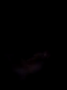 Harini Gautam online show from 09.27.25