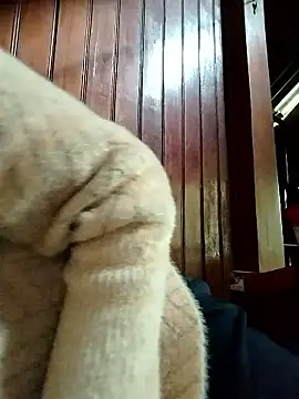 Sinejdk3 online show from 01.19.26