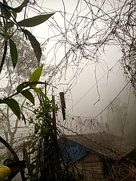 quynhkoolbae online show from 02.28.26