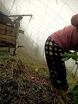 quynhkoolbae online show from 03.04.26