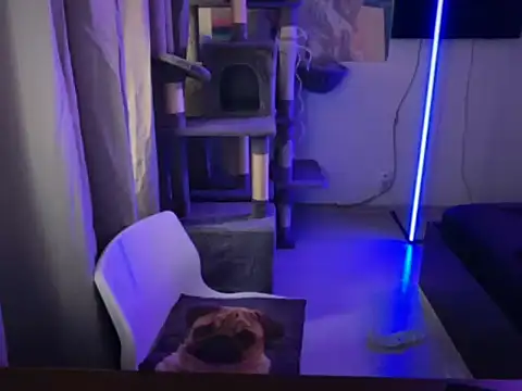 Snapshot of davesinner chatting on 03.02.26 davesinner online show from 03.02.26