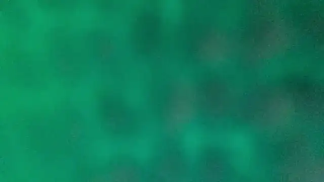 BROsister online show from 02.26.26