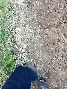 Snapshot of dolphiinn chatting on 02.14.26 dolphiinn online show from 02.14.26