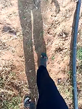 Snapshot of dolphiinn chatting on 02.25.26 dolphiinn online show from 02.25.26