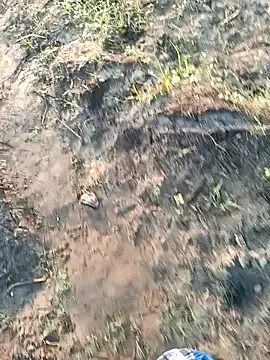 Snapshot of dolphiinn chatting on 03.06.26 dolphiinn online show from 03.06.26