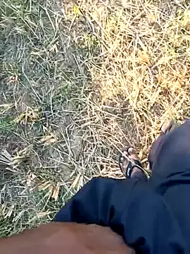 Snapshot of dolphiinn chatting on 04.01.26 dolphiinn online show from 04.01.26