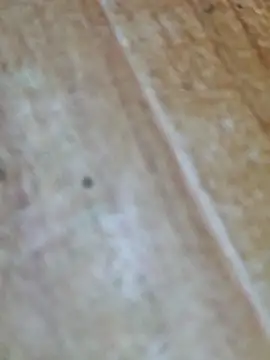 Snapshot of Markroco696 chatting on 10.09.25 Markroco696 online show from 10.09.25