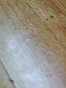 Snapshot of Markroco696 chatting on 10.12.25 Markroco696 online show from 10.12.25